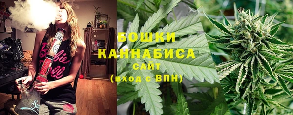винт Богданович