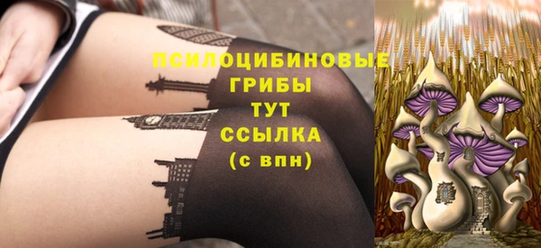 винт Богданович