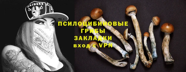 винт Богданович