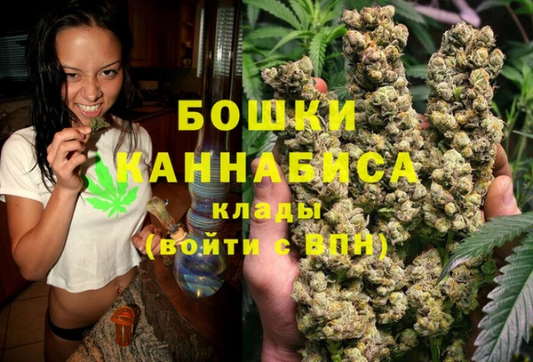 сатива Беломорск